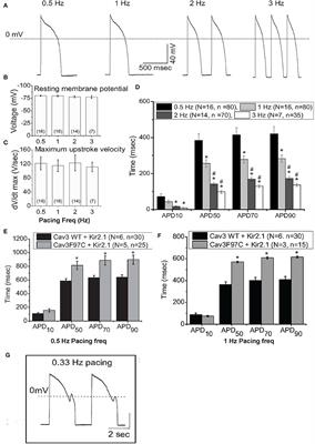 Challenges and innovation: Disease modeling using human-induced pluripotent stem cell-derived cardiomyocytes